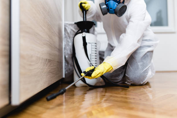 Best Mosquito Control Services  in Oak Park, MI
