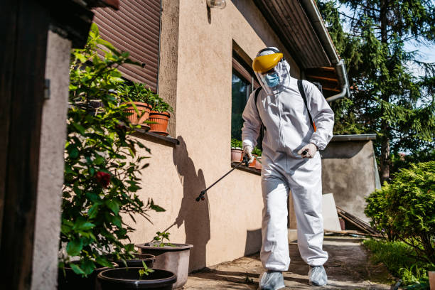 Best Cockroach Control Services  in Oak Park, MI