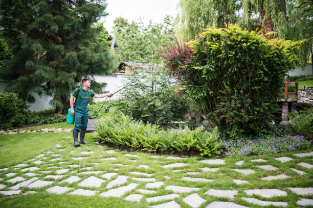 Best Wasp Removal Services  in Oak Park, MI