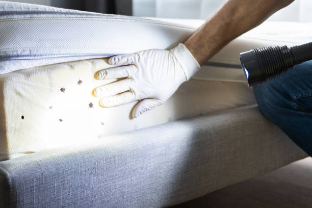 Best Pest Control for Homes  in Oak Park, MI