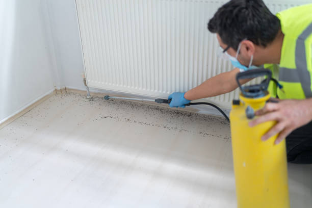 Pest Control for Restaurants in Oak Park, MI