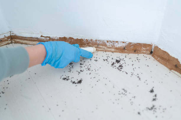 Pest Control Cost in Oak Park, MI