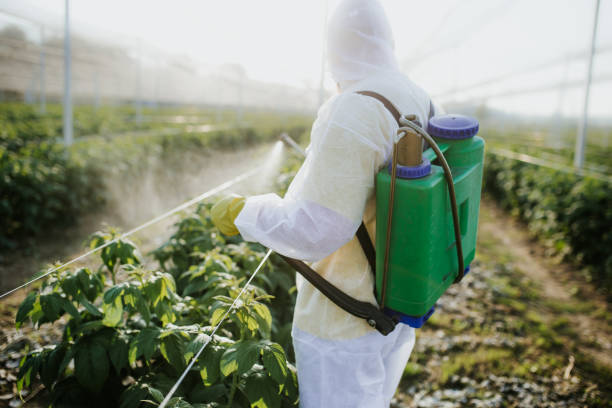 Best Affordable Pest Control Services  in Oak Park, MI